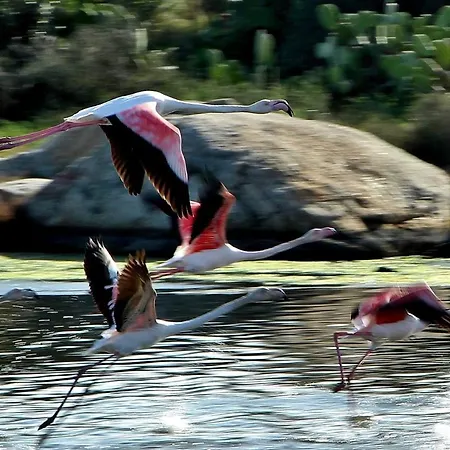 Апартаменты Center