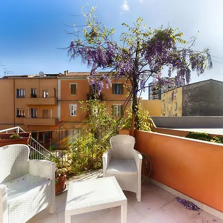 Center * Ольбия